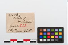 Etiketten zu Eisenwirtel (NHMW-PRAE-024364)